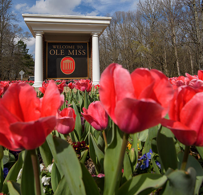 Prospective students and their parents will be greeted by a welcome sign filled with tulips during their spring visits to campus