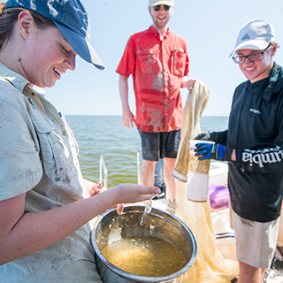 students doing research on the coast