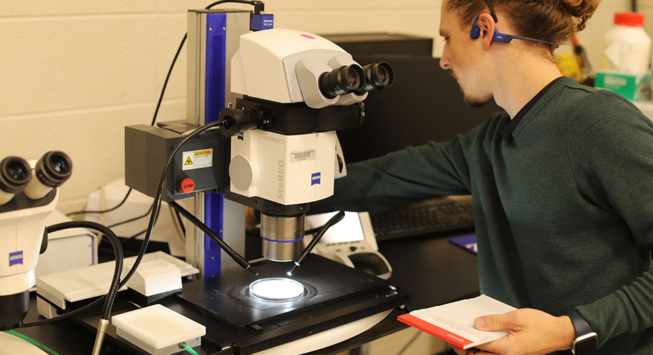 Student using A Zeiss Discovery v.12 Stereomicroscope