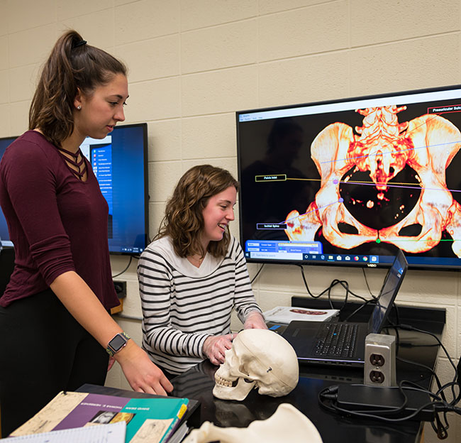 two female students looking at a computer screen of the pelvic bone.