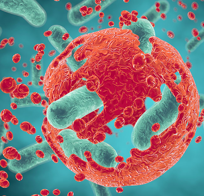 graphic image of bacteria attacking cells.