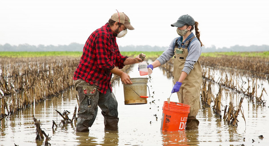 A woman and a man in a field knee high in water collect data in large buckets.