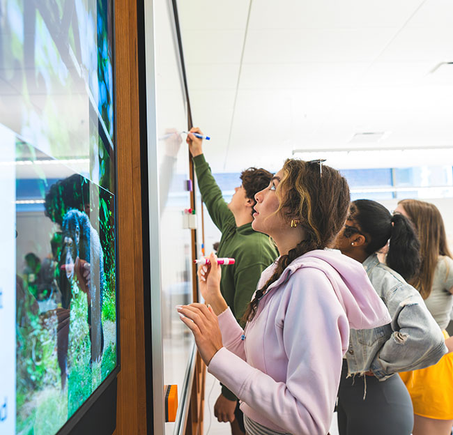 students write on a white board