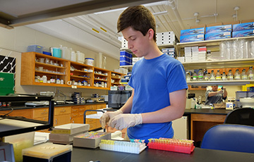 male student working in the lab