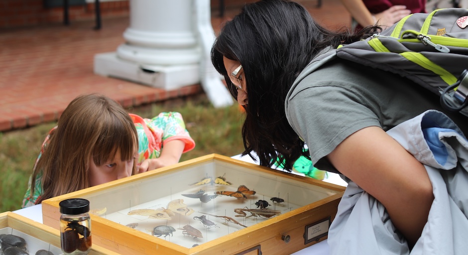 A woman and child hunch over a table while intently gazing at butterflies and beetles showcased in a glass box.