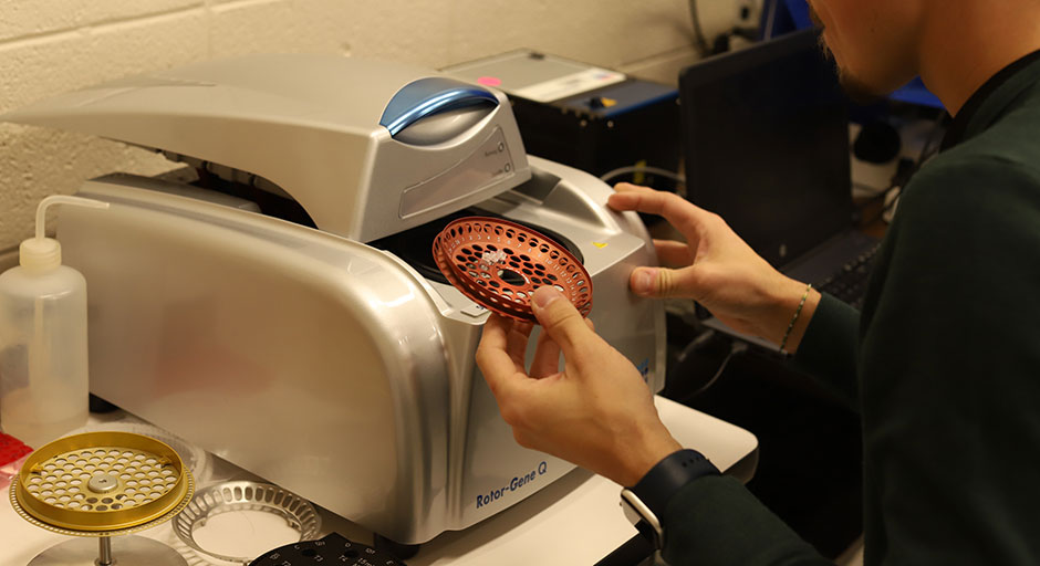 Student using the Qiagen Rotor-Gene Q 5Plex real- time cycler.