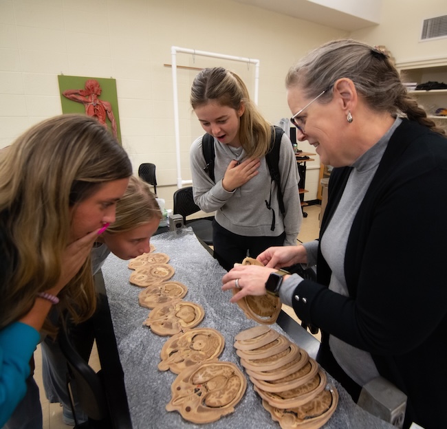 female professor showing the parts of a brain to a group of female students