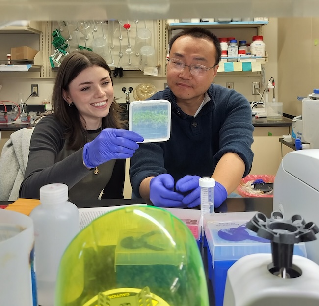 Yongjian Qiu looking at his research with graduate student Berry Dickey