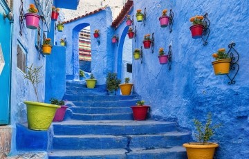 image of alleyway in Morocco with blue walls and potted flowers fixed to the walls