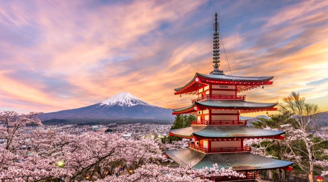 image of a classic Japanese temple with cherry tree blossoms in the foreground and Mount Fuji in the background.