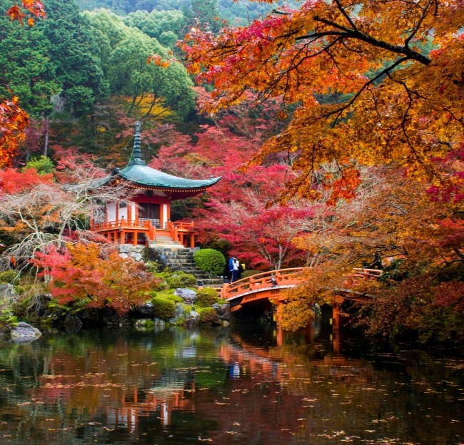 traditional pagoda and fall leaves reflected in a lake