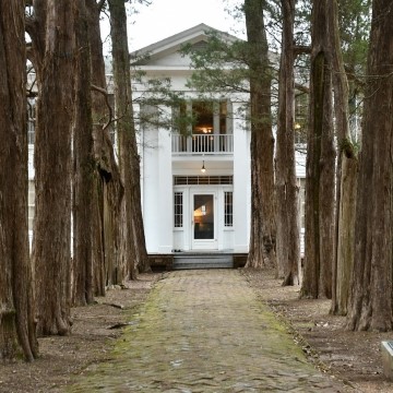 image of the row of trees and front of Rowan Oak mansion, former home of author William Faulkner