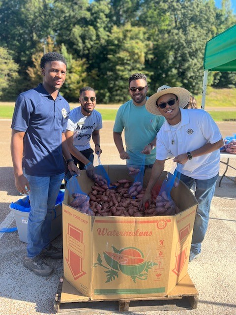 Four people help sort sweet potatoes for the Yam Jam.