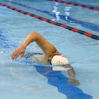 Person swimming freestyle.