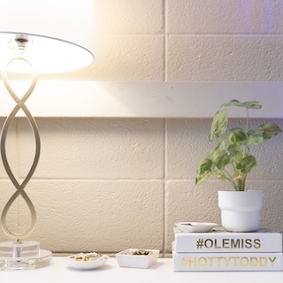 Books sitting on a table with a plant and lamp. 