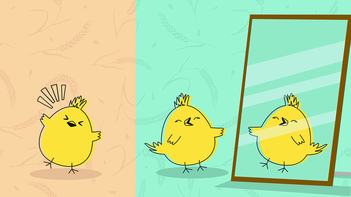 Illustration of an anxious chick chirping loudly and a calm chick looking at its reflection in a mirror.