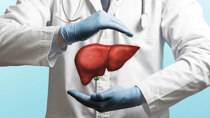 Photo illustration of a person wearing a white lab coat and blue surgical gloves with a human liver hovering in midair between their hands.