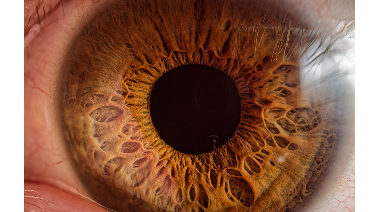 An extreme close-up photograph of a human eye with a brown iris.