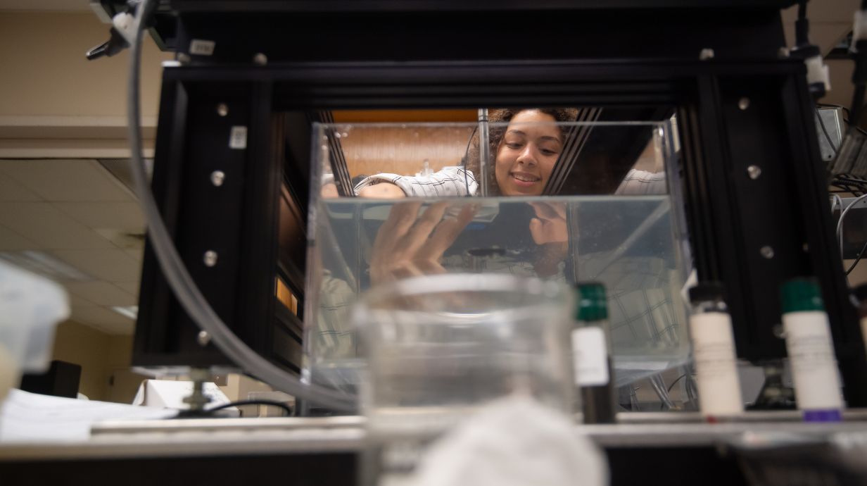 A student works on an experiment