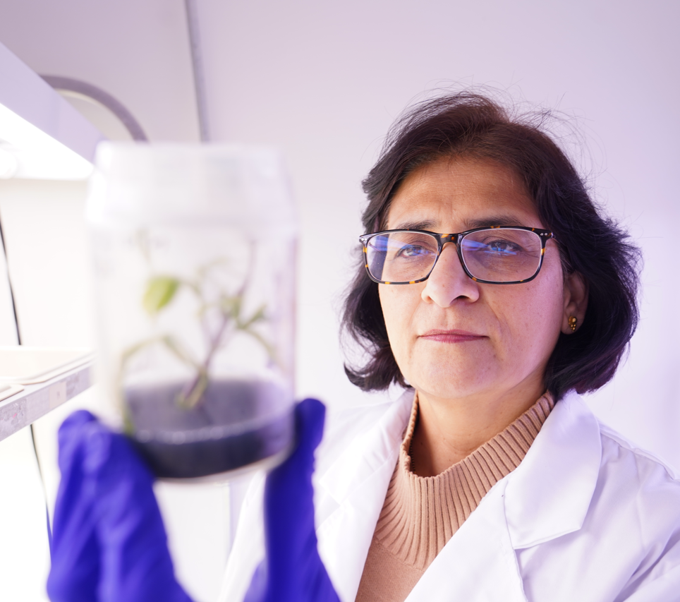 Scientist observing plant species. 