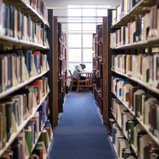 A long line of books with a student studying at the J.D. Williams Library